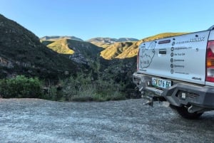 Полный день в Бавиансклуфе с обедом