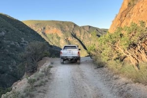Полный день в Бавиансклуфе с обедом