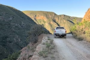 Полный день в Бавиансклуфе с обедом