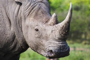 Baviaanskloof Reserve Private Full-Day Safari
