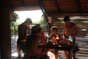 Privat safari i Addo Elephant Park & upphämtning/avlämning