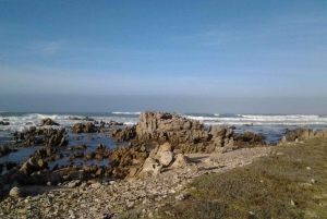 Cape Agulhas Tour: Private Day Trip!