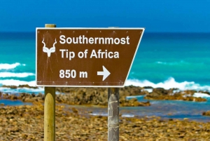 Cape Agulhas Tour: Private Day Trip!