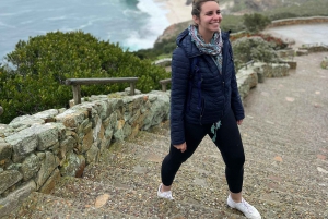 Cap de Bonne Espérance, Chapman's Peak Drive, Pingouins, Phoques