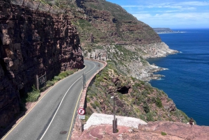 Cap de Bonne Espérance, Chapman's Peak Drive, Pingouins, Phoques