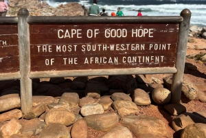 Cap de Bonne Espérance, Chapman's Peak Drive, Pingouins, Phoques