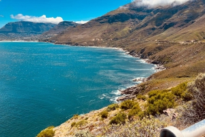 Cap de Bonne Espérance, Chapman's Peak Drive, Pingouins, Phoques