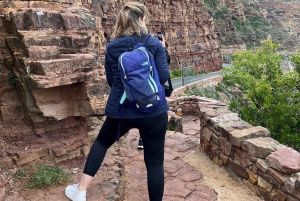 Cap de Bonne Espérance, Chapman's Peak Drive, Pingouins, Phoques