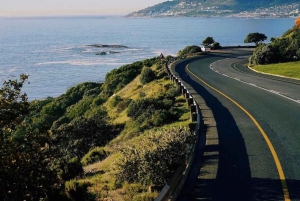 Cap de Bonne Espérance, Chapman's Peak Drive, Pingouins, Phoques