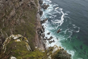 Cap de Bonne Espérance, Chapman's Peak Drive, Pingouins, Phoques
