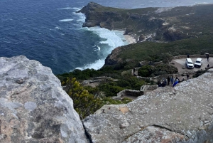 Cap de Bonne Espérance, Chapman's Peak Drive, Pingouins, Phoques