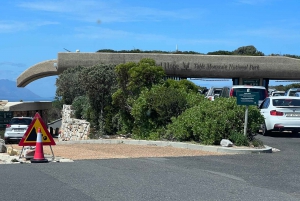 Cap de Bonne Espérance, Chapman's Peak Drive, Pingouins, Phoques