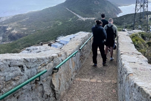 Cap de Bonne Espérance, Chapman's Peak Drive, Pingouins, Phoques
