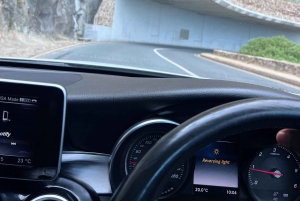 Cap de Bonne Espérance, Chapman's Peak Drive, Pingouins, Phoques