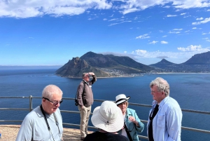 Cap de Bonne Espérance, Chapman's Peak Drive, Pingouins, Phoques