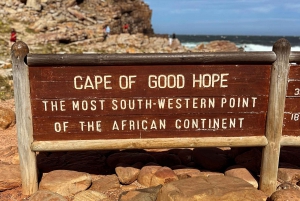 Cap de Bonne Espérance, Chapman's Peak Drive, Pingouins, Phoques