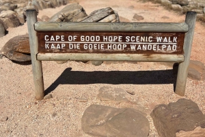 Cap de Bonne Espérance, Chapman's Peak Drive, Pingouins, Phoques