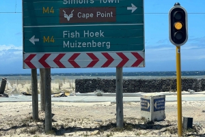 Cap de Bonne Espérance, Chapman's Peak Drive, Pingouins, Phoques