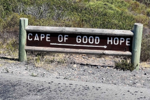 Cap de Bonne Espérance, Chapman's Peak Drive, Pingouins, Phoques