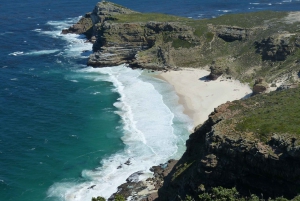 Cape Peninsula tour