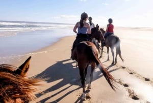 Città del Capo: combinazione di 10 giorni di Garden Route, Winelands e Cape Point