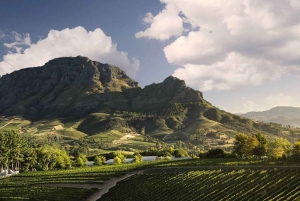 Città del Capo: combinazione di 10 giorni di Garden Route, Winelands e Cape Point