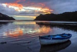 Кейптаун: 10-дневный тур по Гарден-Рут, винодельческим регионам и Кейп-Пойнт