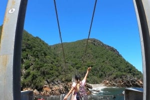 Кейптаун: 10-дневный тур по Гарден-Рут, винодельческим регионам и Кейп-Пойнт