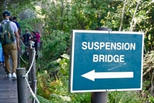 Кейптаун: 10-дневный тур по Гарден-Рут, винодельческим регионам и Кейп-Пойнт