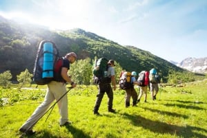 Ciudad del Cabo: Tour privado de 4 días por la Ruta Jardín con alojamiento