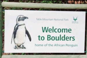 Le Cap : circuit de 5 jours sur la Garden Route jusqu'à Port Elizabeth