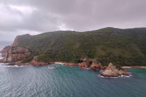 Le Cap : circuit de 5 jours sur la Garden Route jusqu'à Port Elizabeth