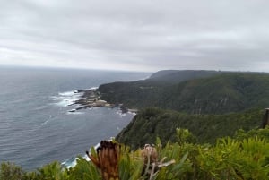 Le Cap : circuit de 5 jours sur la Garden Route jusqu'à Port Elizabeth