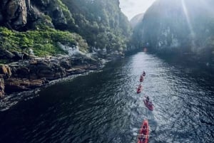 Ruta Jardín y safari de elefantes en Addo [5 días]: Ciudad del Cabo