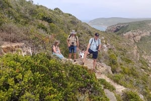 Cape Town: 7-dagers Garden Route-tur med vinsmaking