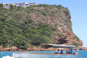 Ciudad del Cabo: Experiencia de 7 días en grupo reducido por la Ruta Jardín