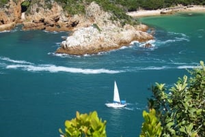 Kapsztad: 9-dniowa wycieczka wzdłuż wybrzeża i trasy Garden Route z Addo