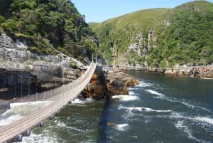 Kapsztad: 9-dniowa wycieczka wzdłuż wybrzeża i trasy Garden Route z Addo