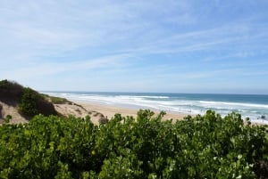 Kapsztad: 9-dniowa wycieczka wzdłuż wybrzeża i trasy Garden Route z Addo