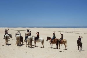 Kapsztad: 9-dniowa wycieczka wzdłuż wybrzeża i trasy Garden Route z Addo