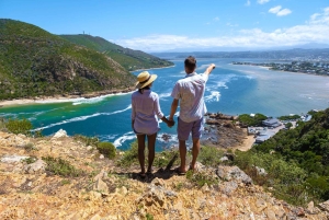 Città del Capo: 9 giorni sulla costa del Capo e sulla Garden Route con tour di Addo