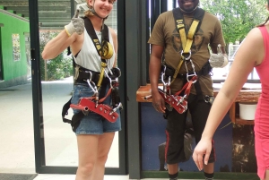 Città del Capo: 9 giorni sulla costa del Capo e sulla Garden Route con tour di Addo