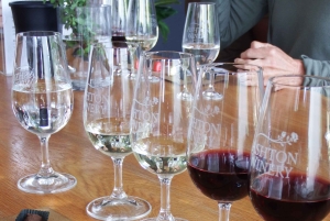 Città del Capo: 9 giorni sulla costa del Capo e sulla Garden Route con tour di Addo