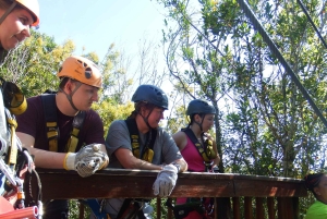 Città del Capo: 9 giorni sulla costa del Capo e sulla Garden Route con tour di Addo