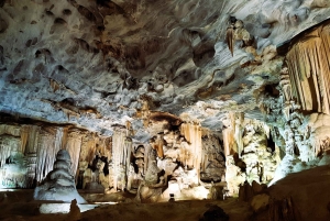 Città del Capo: 9 giorni sulla costa del Capo e sulla Garden Route con tour di Addo