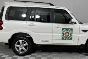 Kapstadt und Garden Route 8 Tage Tour mit Unterkunft