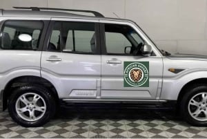 Kapstadt und Garden Route Tour mit Unterkunft in 8 Tagen