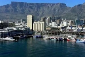 Kapstadt und Garden Route Tour mit Unterkunft in 8 Tagen