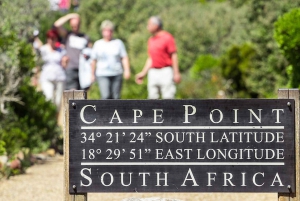 Cape Town: CAPE OF GOOD HOPE AND PENGUINS PRIVATE FULL DAY.