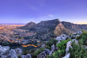 Cape Town: CAPE OF GOOD HOPE AND PENGUINS PRIVATE FULL DAY.
